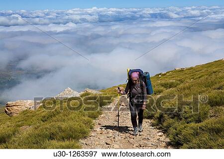 Stock Photo - Woman practicing mountaineering in the Sierra de B? jar Natural Park, in Salamanca province, Biosphere Reserve of Sierra de B? jar and Francia. Fotosearch