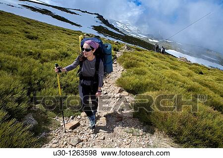 Woman practicing mountaineering in the Sierra de B? jar Natural Park, in Salamanca province, Biosphere Reserve of Sierra de B? jar and Francia View Large Photo Image Stock Photo - Woman practicing mountaineering in the Sierra de B? jar Natural Park, in Salamanca province, Biosphere Reserve of Sierra de B? jar and Francia. Fotosearch