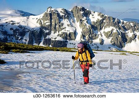 Woman practicing mountaineering in the Sierra de B? jar Natural Park, in Salamanca province, Biosphere Reserve of Sierra de B? jar and Francia View Large Photo Image Stock Photograph - Woman practicing mountaineering in the Sierra de B? jar Natural Park, in Salamanca province, Biosphere Reserve of Sierra de B? jar and Francia. Fotosearch