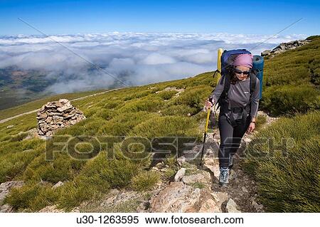 Stock Photography - Woman practicing mountaineering in the Sierra de B? jar Natural Park, in Salamanca province, Biosphere Reserve of Sierra de B? jar and Francia. Fotosearch