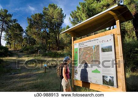 Woman reading a poster in the Natural Reserve of Iruelas Valley? vila province Castilla y Le? n Spain View Large Photo Image Stock Image - Woman reading a poster in the Natural Reserve of Iruelas Valley? vila province Castilla y Le? n Spain. Fotosearch