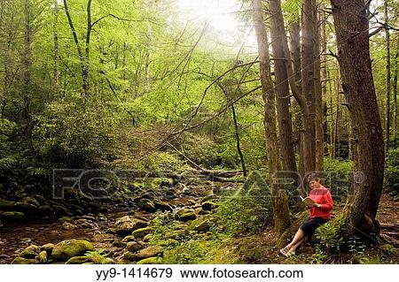 Woman reading by creek - Pisgah National Forest, near Brevard, North Carolina View Large Photo Image Stock Photo - Woman reading by creek - Pisgah National Forest, near Brevard, North Carolina. Fotosearch