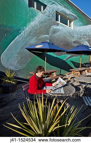 Woman reading morning newspaper, Sperm whales mural on cafe wall, Kaikoura, North Canterbury, South Island, New Zealand View Large Photo Image Picture - Woman reading morning newspaper, Sperm whales mural on cafe wall, Kaikoura, North Canterbury, South Island, New Zealand. Fotosearch