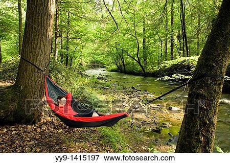 Stock Photo - Woman relaxing in hammock by river - Pisgah National Forest - Brevard, North Carolina. Fotosearch