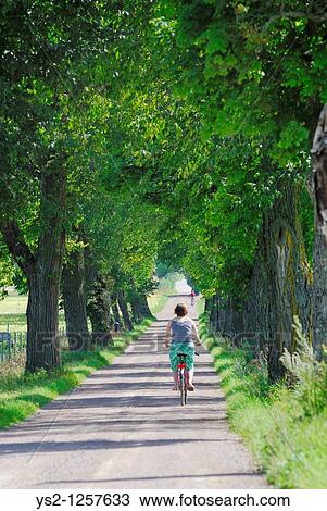 Woman riding a bike,? stergotland, Sweden, Europe View Large Photo Image Stock Image - Woman riding a bike,? stergotland, Sweden, Europe. Fotosearch