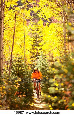 Stock Photo - Woman riding mountain bike through fall colors in forest. Fotosearch