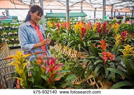 Stock Image - Woman shopping for plants. Fotosearch