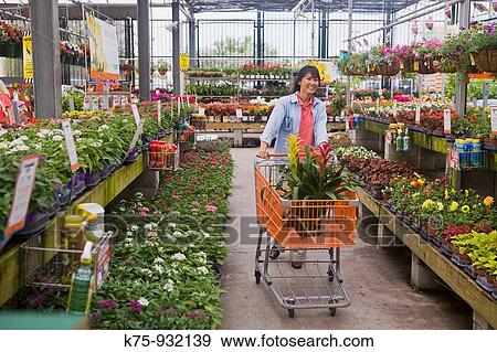 Woman shopping for plants View Large Photo Image Stock Photo - Woman shopping for plants. Fotosearch