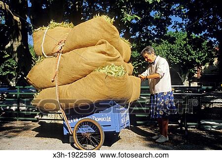 woman showing his production at the Tilia fair of Buis-les-Baonnies, Drome department, region of Rhone-Alpes, France, Europe View Large Photo Image Stock Photo - woman showing his production at the Tilia fair of Buis-les-Baonnies, Drome department, region of Rhone-Alpes, France, Europe. Fotosearch