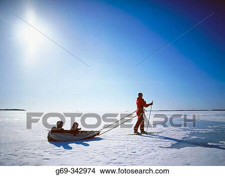 Woman skiing with two children in a sledge in direct light. V? sterbotten, Sweden View Large Photo Image Picture - Woman skiing with two children in a sledge in direct light. V? sterbotten, Sweden. Fotosearch