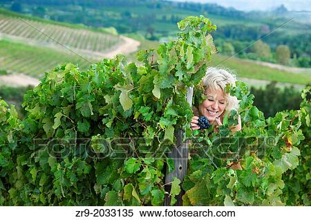 Woman sneaking grapes and laughing in a vineyard, Remhoogte Winery Estate, Stellenbosch, Winelands, Western Cape, South Africa. View Large Photo Image Stock Photography - Woman sneaking grapes and laughing in a vineyard, Remhoogte Winery Estate, Stellenbosch, Winelands, Western Cape, South Africa.. Fotosearch