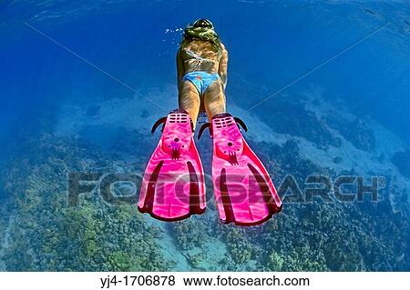 Stock Photo - woman snorkeler, diving over coral reef, Kiholo Bay, Kohala Coast, Big Island, Hawaii, USA, Pacific Ocean. Fotosearch