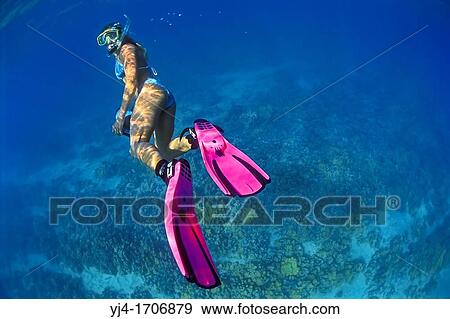 Stock Photo - woman snorkeler with housed underwater video camera, diving over coral reef, Kiholo Bay, Kohala Coast, Big Island, Hawaii, USA, Pacific Ocean. Fotosearch