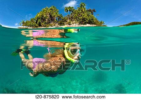 Woman snorkeling in Palau, Micronesia, Palau View Large Photo Image Stock Image - Woman snorkeling in Palau, Micronesia, Palau. Fotosearch
