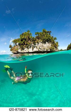 Woman snorkeling in Palau, Micronesia, Palau View Large Photo Image Stock Image - Woman snorkeling in Palau, Micronesia, Palau. Fotosearch