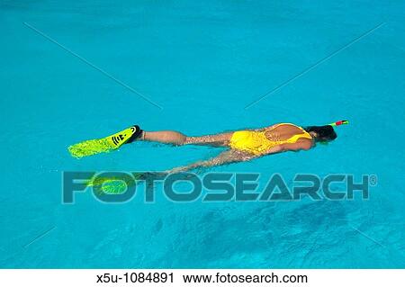 woman snorkeller in hotel swimming pool View Large Photo Image Stock Image - woman snorkeller in hotel swimming pool. Fotosearch