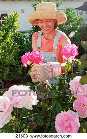 Woman View Large Photo Image Stock Image - Woman. Fotosearch