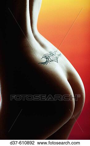 Woman View Large Photo Image Stock Image - Woman. Fotosearch