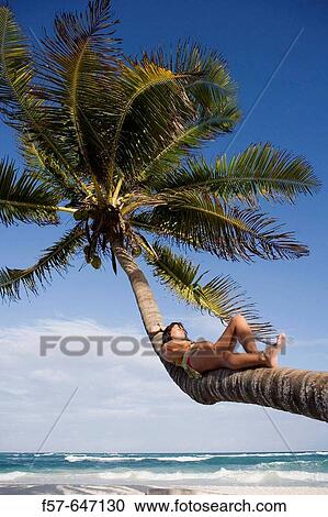 Woman View Large Photo Image Stock Image - Woman. Fotosearch