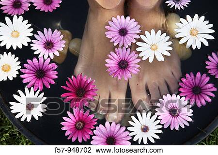 Woman View Large Photo Image Stock Image - Woman. Fotosearch