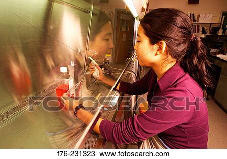 Woman View Large Photo Image Stock Image - Woman. Fotosearch