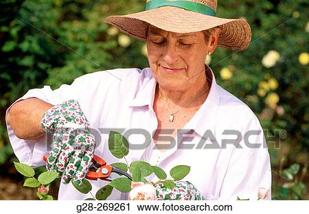 Woman View Large Photo Image Stock Image - Woman. Fotosearch