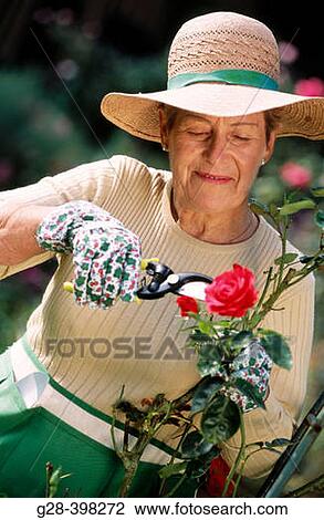 Woman View Large Photo Image Stock Image - Woman. Fotosearch