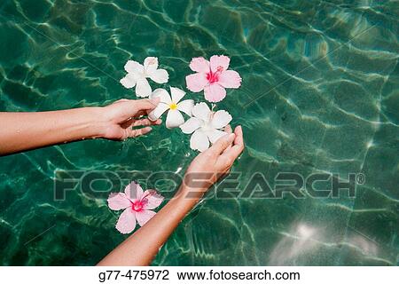 Stock Image - Woman. Fotosearch