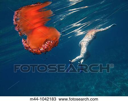 Stock Image - Woman. Fotosearch