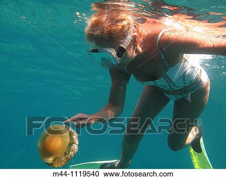 Woman View Large Photo Image Stock Image - Woman. Fotosearch
