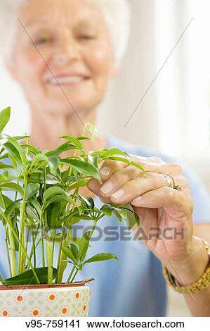 Woman View Large Photo Image Stock Image - Woman. Fotosearch