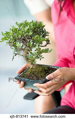 Woman View Large Photo Image Stock Image - Woman. Fotosearch