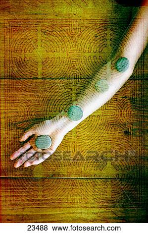 Woman View Large Photo Image Stock Photo - Woman. Fotosearch