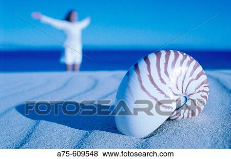 Woman View Large Photo Image Stock Photo - Woman. Fotosearch