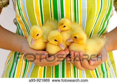 Stock Photo - Woman. Fotosearch