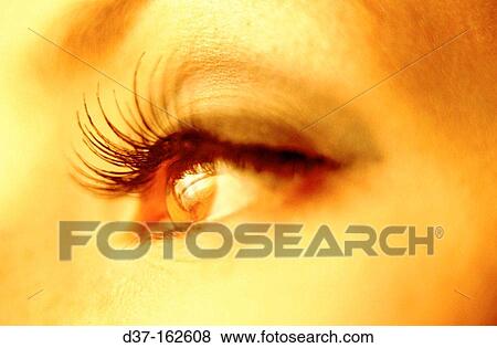 Woman View Large Photo Image Stock Photo - Woman. Fotosearch