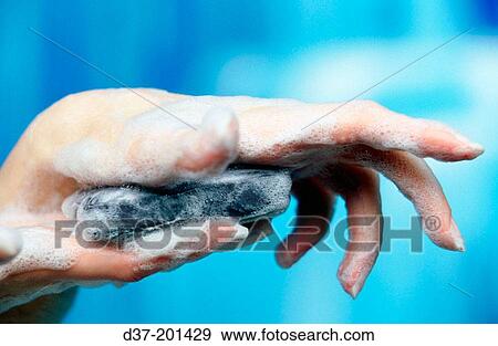 Woman View Large Photo Image Stock Photo - Woman. Fotosearch