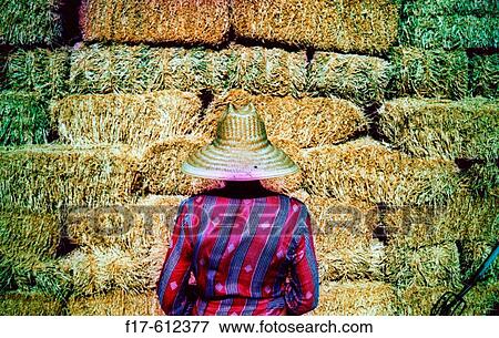 Stock Photo - Woman. Fotosearch