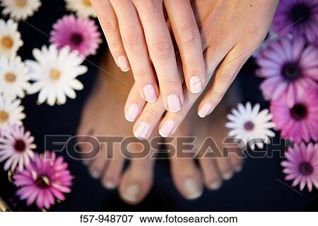 Woman View Large Photo Image Stock Photo - Woman. Fotosearch