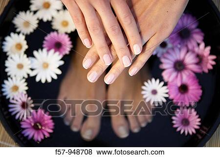 Woman View Large Photo Image Stock Photo - Woman. Fotosearch