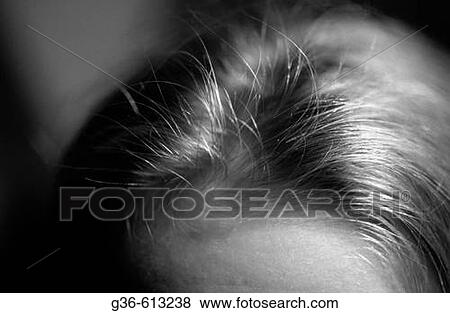 Woman View Large Photo Image Stock Photo - Woman. Fotosearch