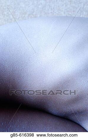Woman View Large Photo Image Stock Photo - Woman. Fotosearch