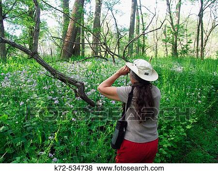 Woman View Large Photo Image Stock Photo - Woman. Fotosearch