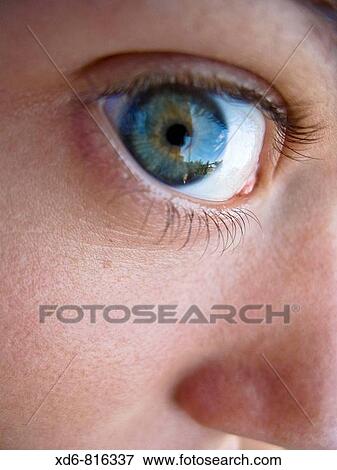 Woman View Large Photo Image Stock Photo - Woman. Fotosearch