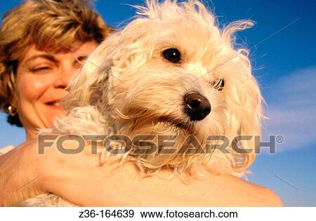 Stock Photo - Woman. Fotosearch