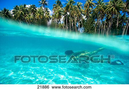 Woman View Large Photo Image Stock Photograph - Woman. Fotosearch