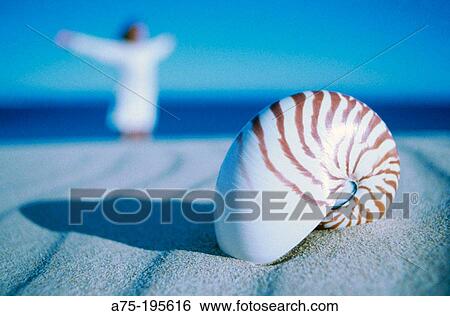 Stock Photograph - Woman. Fotosearch