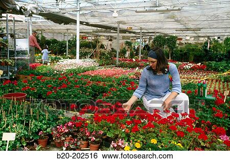 Woman View Large Photo Image Stock Photograph - Woman. Fotosearch