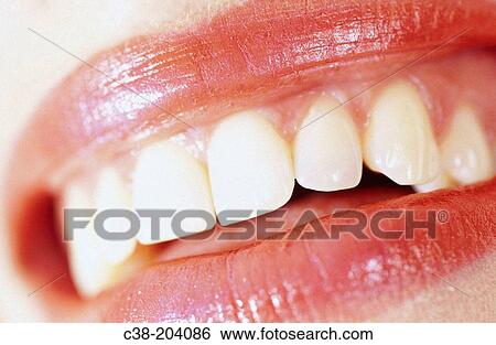 Woman View Large Photo Image Stock Photograph - Woman. Fotosearch