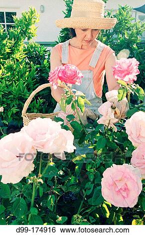 Stock Photograph - Woman. Fotosearch
